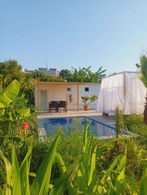 agave suites 1